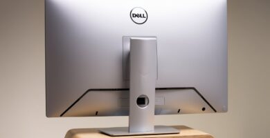 monitor dell vertical