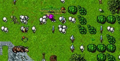 tibia quem e o jogador que investiu quase r 500 mil em personagens de nivel 2000