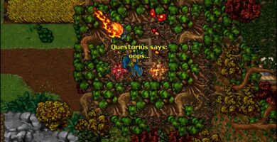tibia brasileiro top 6 e deletado na segunda onda de bans e players desbanidos foram banidos novamente