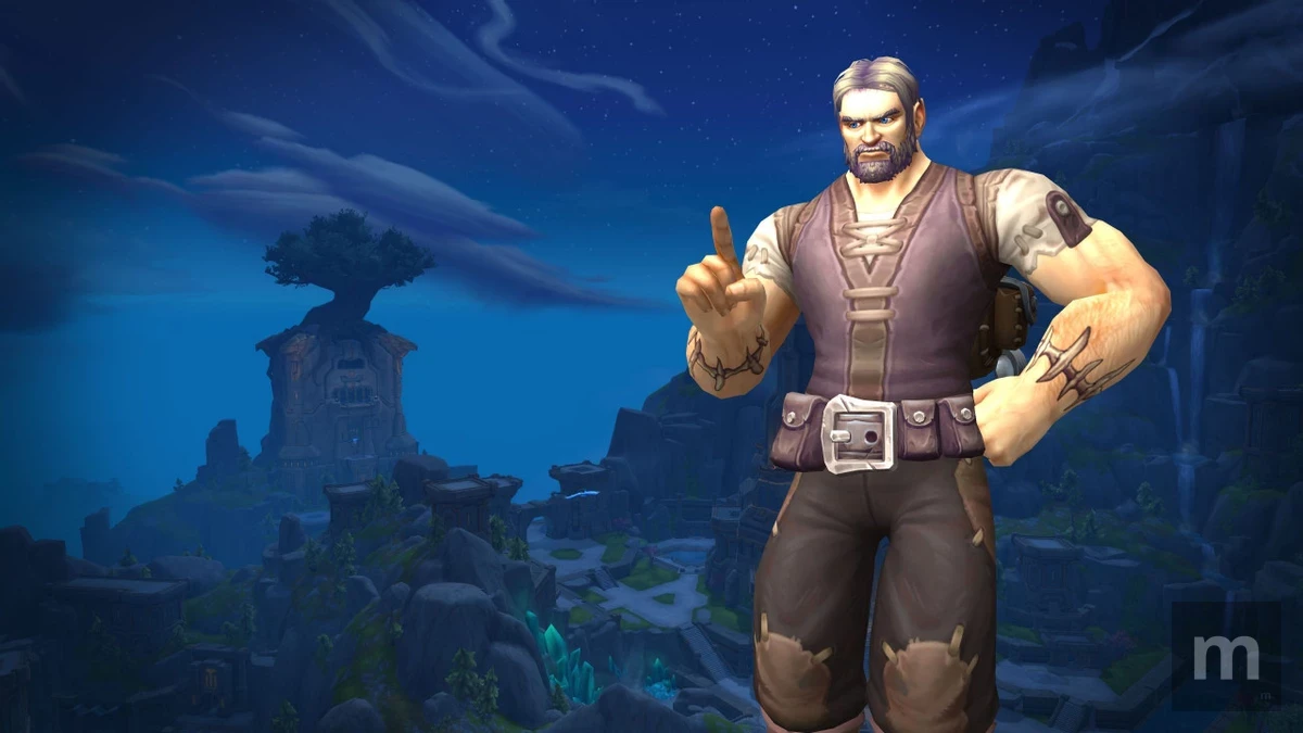 World of Warcraft: Criadores do Turtle WoW pedem licença para servidor 1 World of Warcraft: Criadores do Turtle WoW pedem licença para servidor