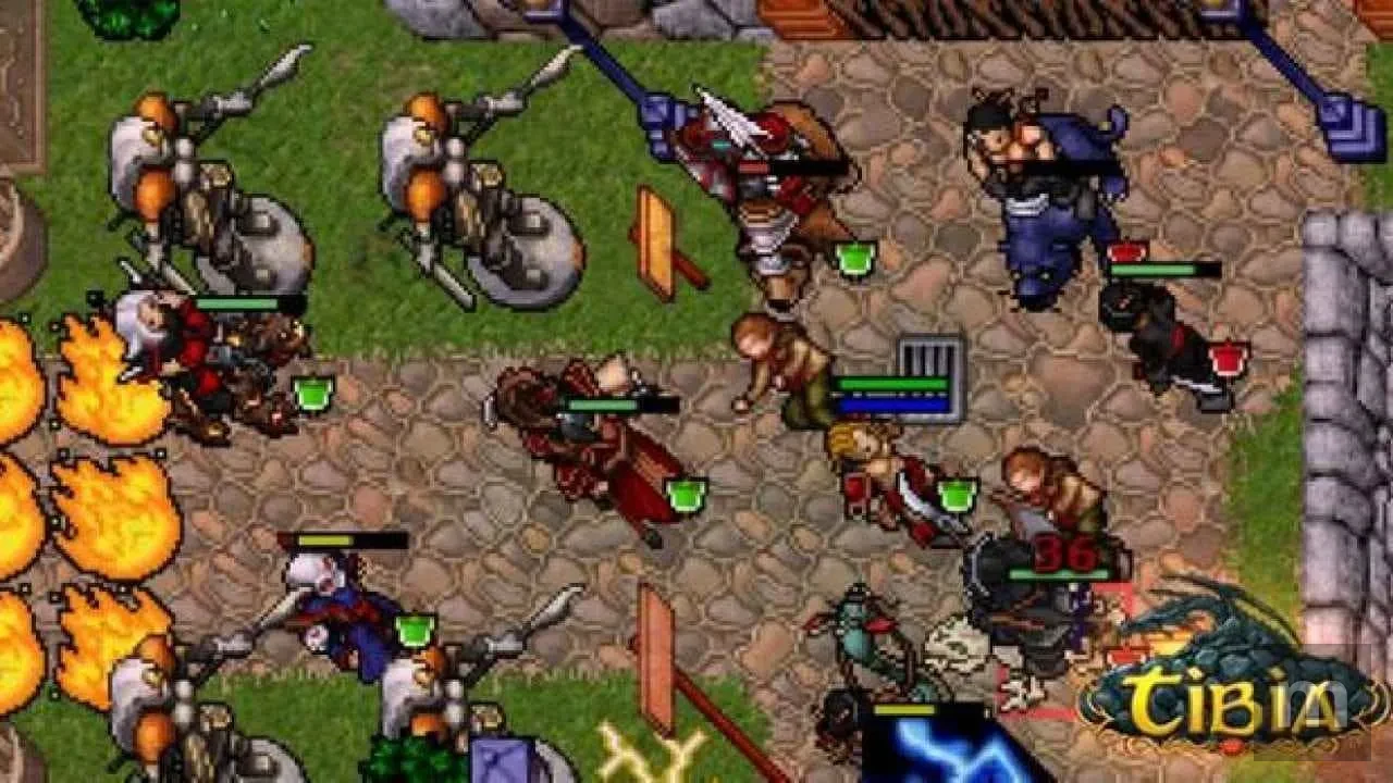tibia