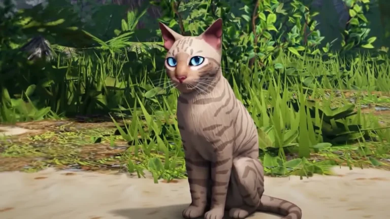 Warrior Cats Warrior Code
